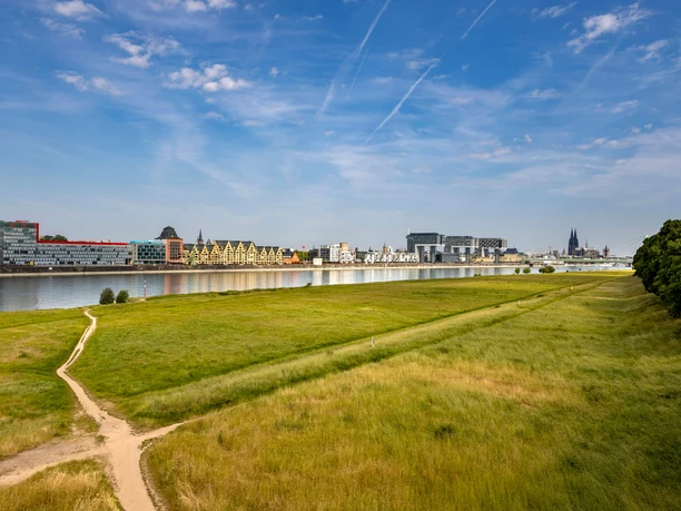 View across the Rhine meadows toward Cologne's Rheinauhafen and the cathedral under a blue sky