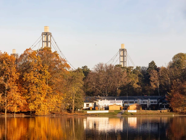 Herbstlicher Adenauerweiher mit Club Astoria und Rheinenergie-Stadion im Hintergrund