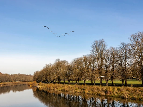 Decksteiner Weiher mit kahlen Bäumen am Ufer und fliegenden Vögeln am blauen Himmel