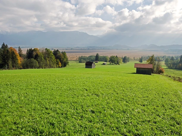 Radtour - Staffelsee-Murnauer Moos - Blick auf das Murnauer Moos