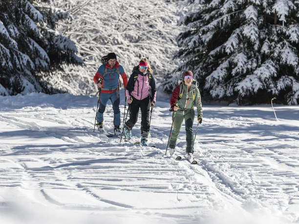 Skitour Naturpark