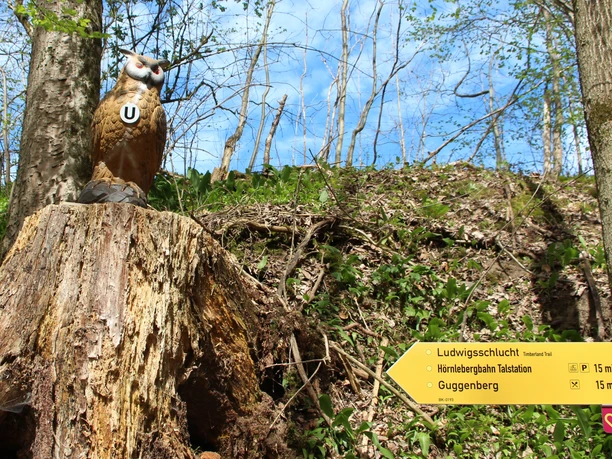 Station Timberlandtrail mit Wanderbeschilderung
