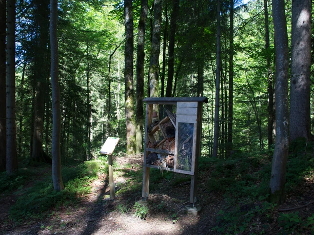 Walderlebnispfad Ettal, Insektenhotel