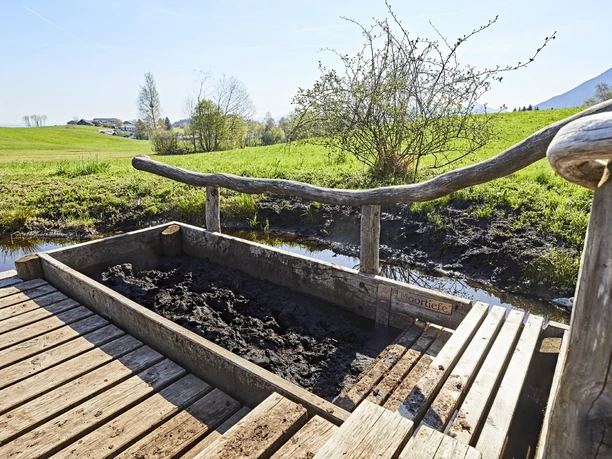 Moorlehrpfad Bad Kohlgrub
