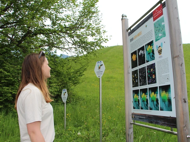 Bienenweg Bad Kohlgrub - Informationstafel