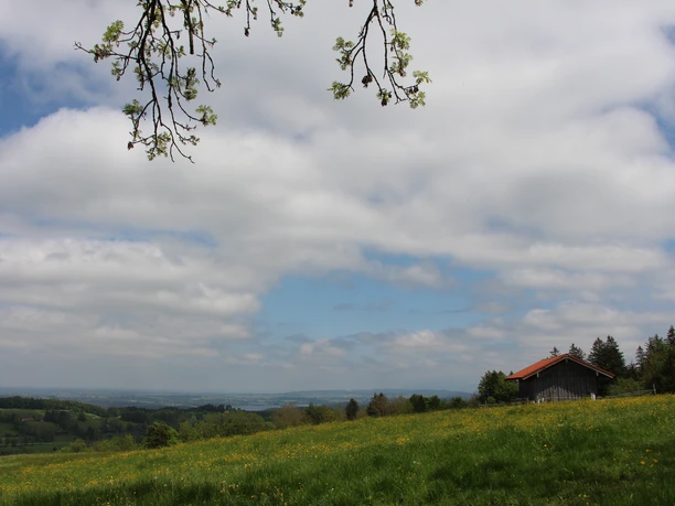 Bienenweg Bad Kohlgrub - Aussicht am Bienenweg