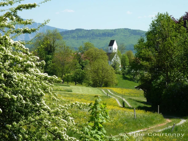 Fernwanderweg - Meditationsweg, 4. Etappe - Blick auf St. Blasius