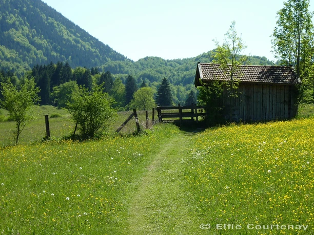 Fernwanderweg - Meditationsweg, 5. Etappe - Fußweg bei Ohlstadt Fernwanderweg - Meditationsweg, 5. Etappe - Fußweg bei Ohlstadt