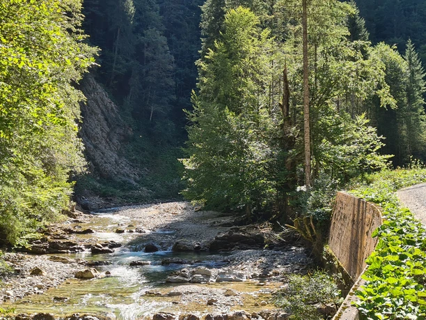 Durchs Halbammertal