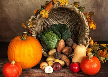 Herbstliche Ernte zum Erntefest mit Kürbissen, Kohl und Wurzelgemüse vor einem Korb.
