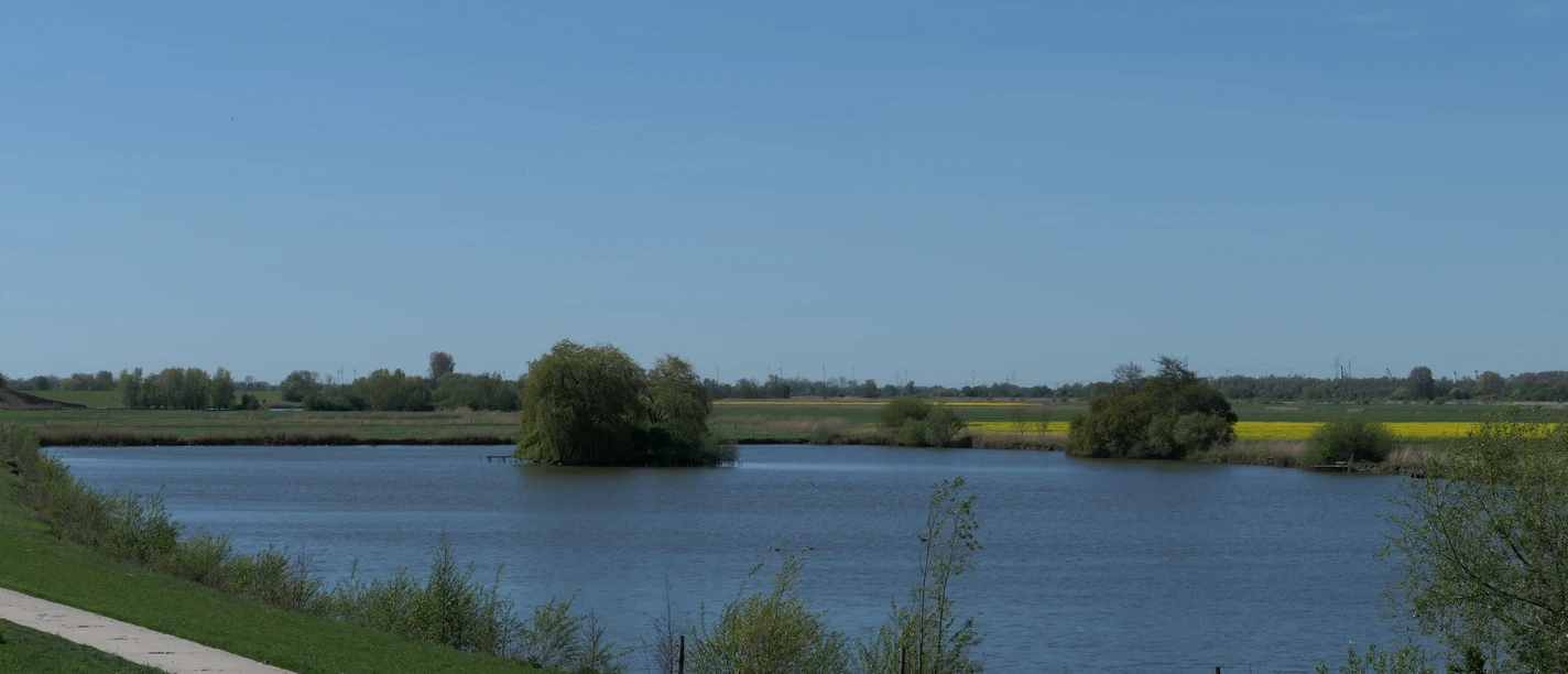 Baggersee in Rade mit Uferweg, grünen Wiesen und Feldern unter blauem Himmel.