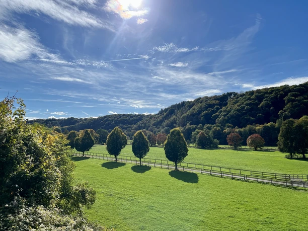 Blick vom Radweg Sieg auf die Siegauen