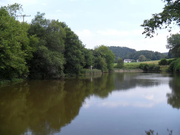 Weiher bei Nimshuscheid