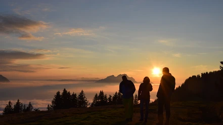 Sonnenfinsternis