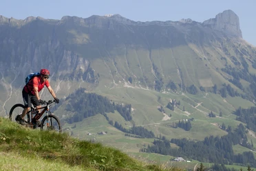 Senior:in Flow Trail Kurs