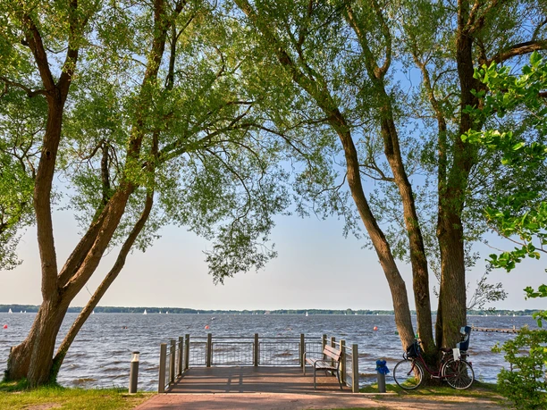 Bäume am Zwischenahner Meer