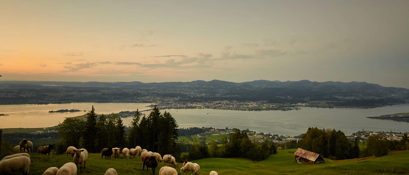 Schwyz_Tourismus_Bike_74.tif.jpg
