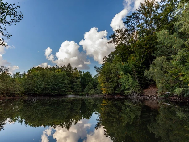 soehrewald_holzlagerteich_6425a