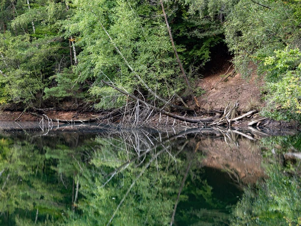 soehrewald_holzlagerteich_0760a