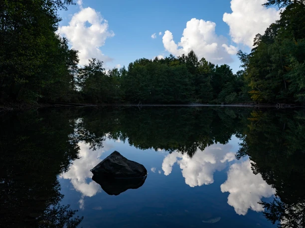 soehrewald_holzlagerteich_6423a