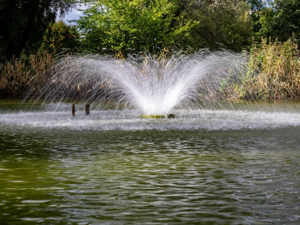 niestetal_heiligenrode_park_5982a