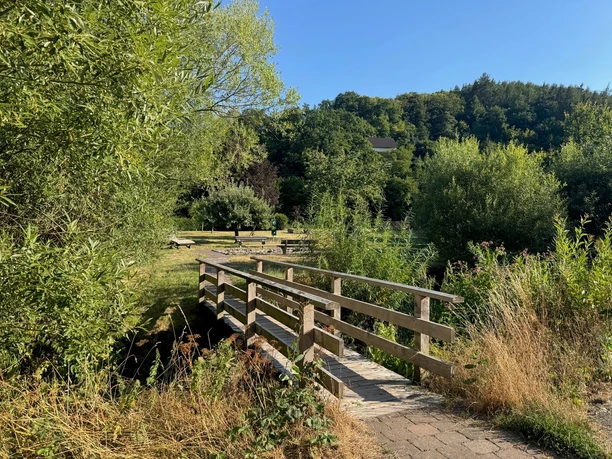 Tretbecken Brücke.jpg