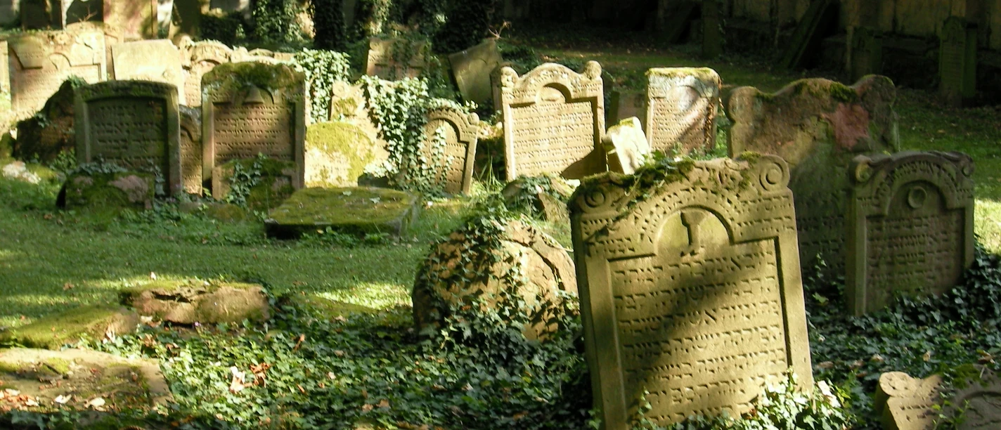 Old Jewish Cemetery Historic gravestones in cemetery with trees