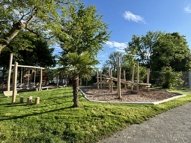 Spielplatz_Seeland_Korporation_Sempach_Palme.jpg