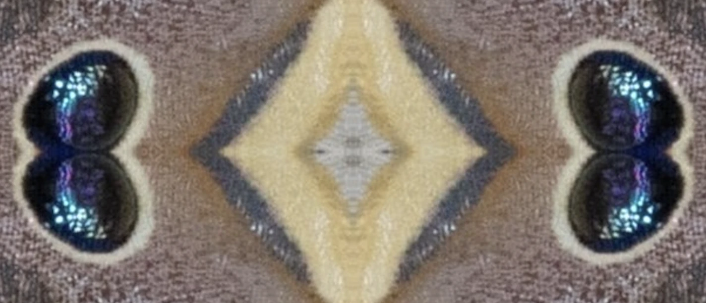 Screenshot 2026-07-08 at 17.47.44.png