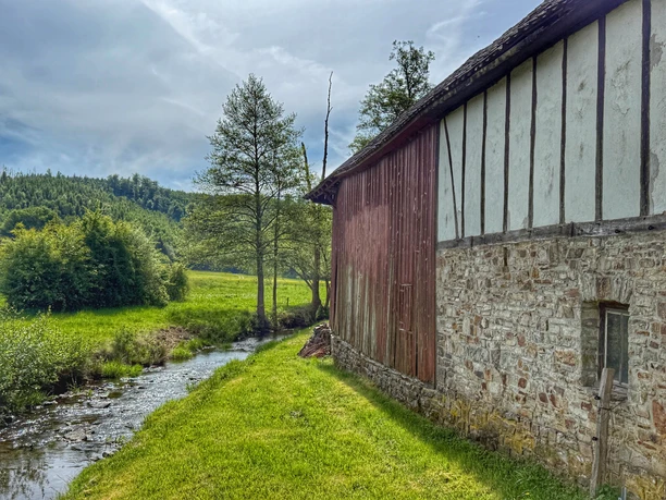 Seifermühle in Forst