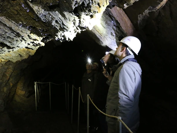 Führung im Silberseestollen