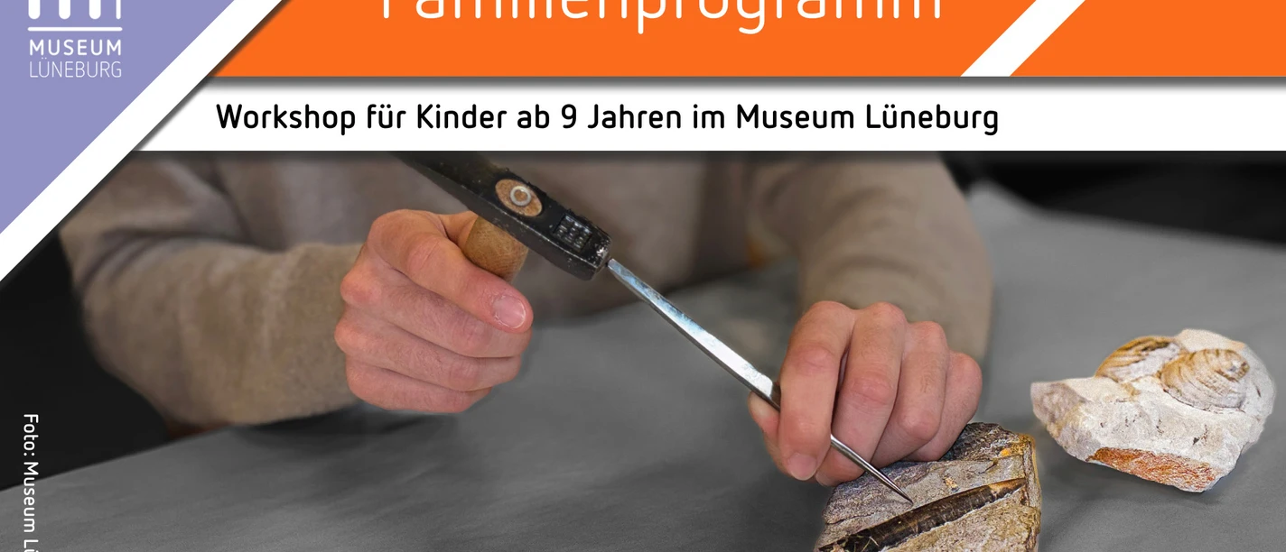 Hände präparieren mit Hammer und Meißel ein Fossil im Museum Lüneburg.