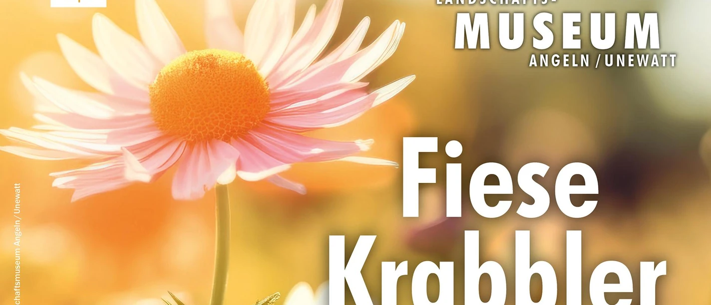 Krabbler_TeaserBild1920