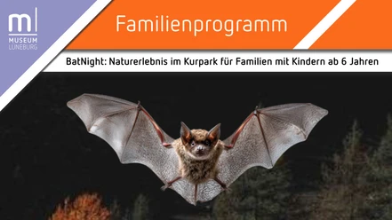 BatNight Fledermaus mit ausgebreiteten Flügeln zur Ankündigung der BatNight im Kurpark Lüneburg.