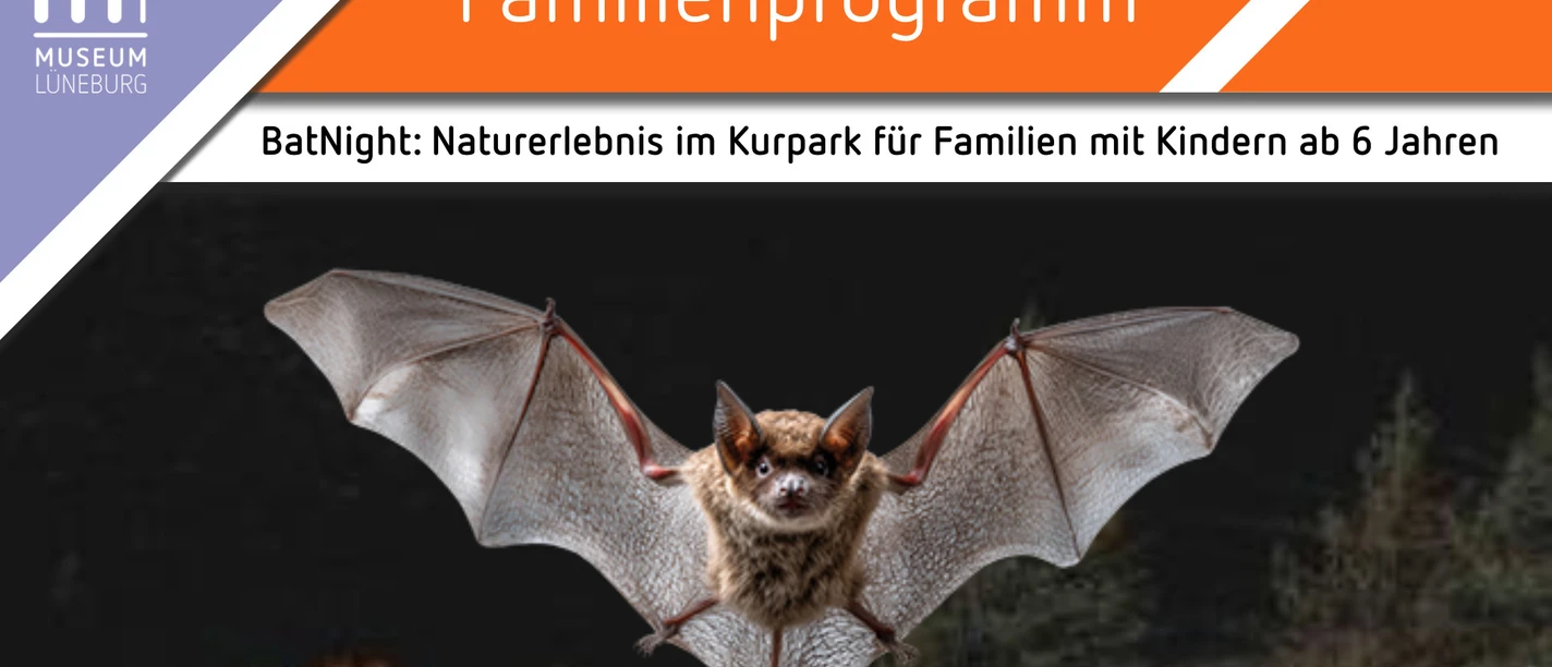 BatNight Fledermaus mit ausgebreiteten Flügeln zur Ankündigung der BatNight im Kurpark Lüneburg.