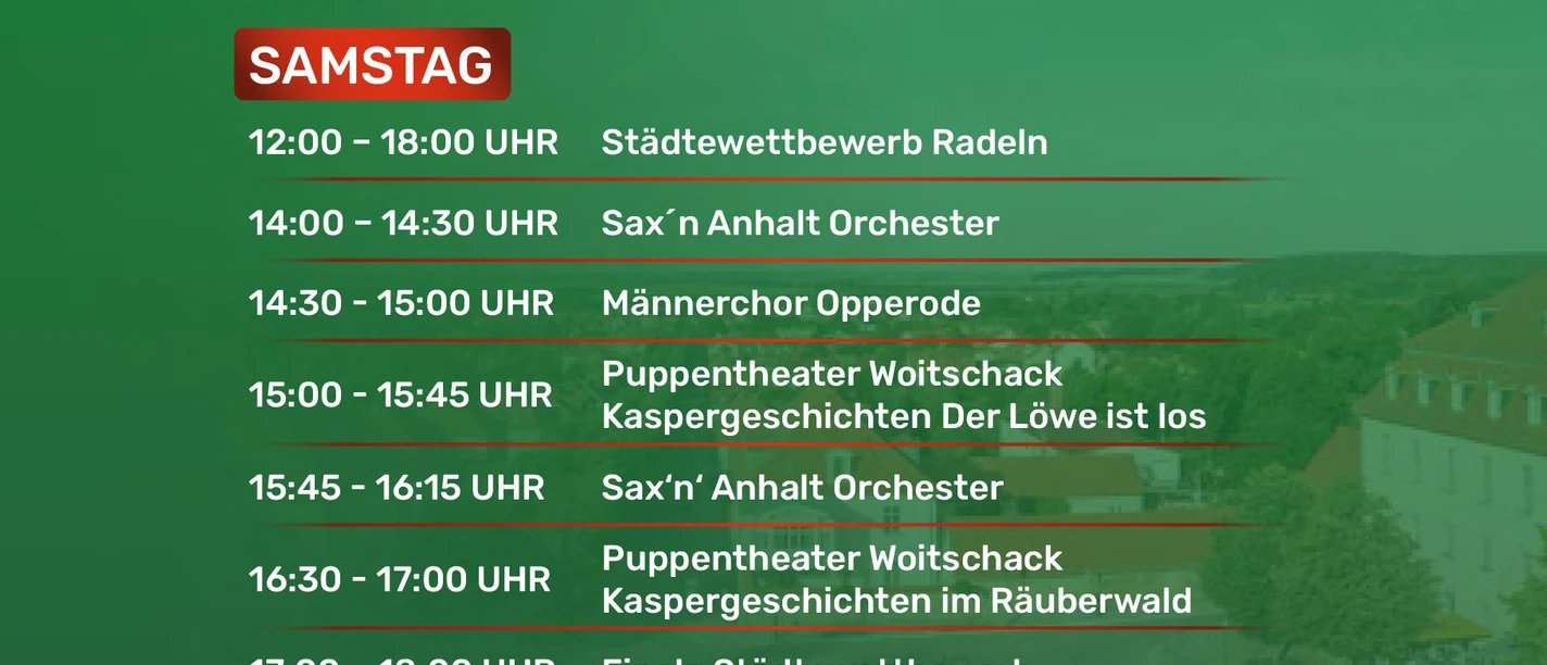 A5_stadtfest_ballenstedt_2026-2 Kopie.jpg