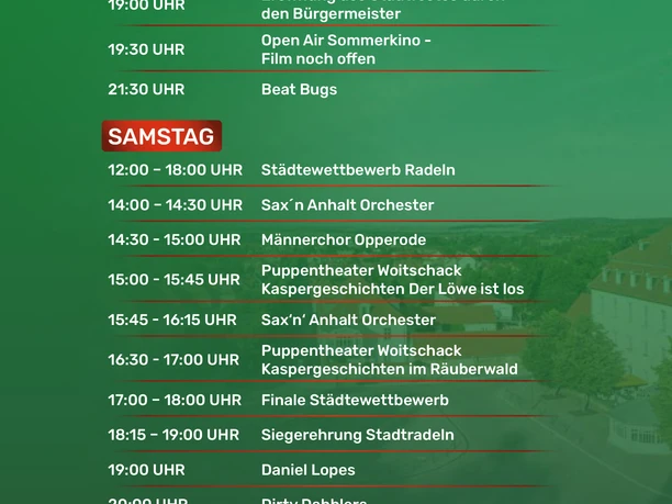 A5_stadtfest_ballenstedt_2026-2 Kopie.jpg