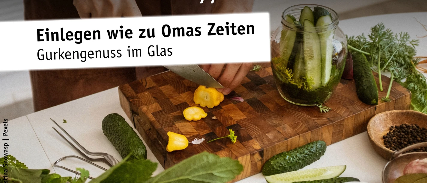 Plakat des Deutschen Salzmuseums zum Gurkeneinlegen mit Glas, Gurken und Gewürzen.
