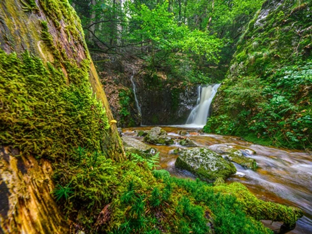 wasserfall-deglerbad-ottenhoefen-schwarzwald.jpg