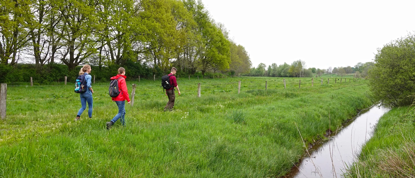 Kapellenmoor - Hümmling-Pfade, Wandern im Emsland ©Naturpark Hümmling (39).jpg