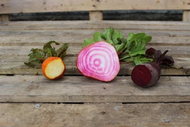 Aufgeschnittene Bete in Gelb, Rosa und Rot mit Blättern auf rustikalen Holzbrettern