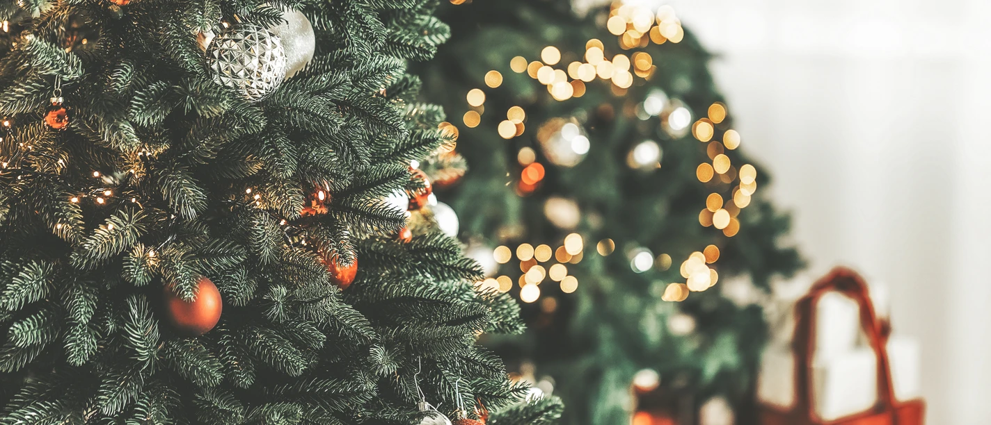 AdobeStock_294572489.jpeg