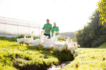 Carsten Schumacher und Nadine Glaesener von der Gärtnerei Duftgarten mit weißen Gänsen