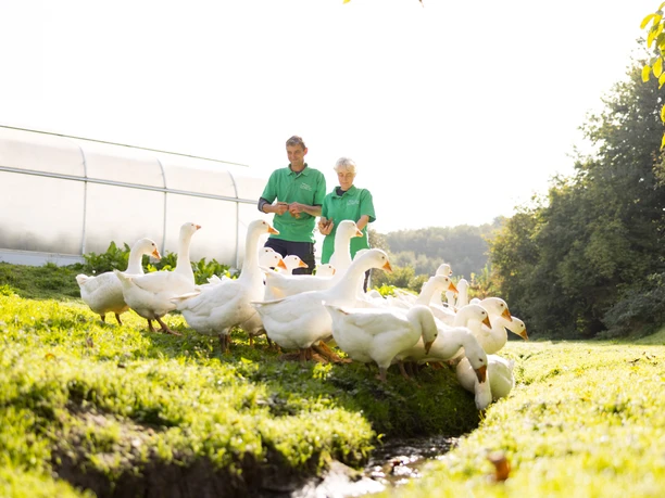 Carsten Schumacher und Nadine Glaesener von der Gärtnerei Duftgarten mit weißen Gänsen