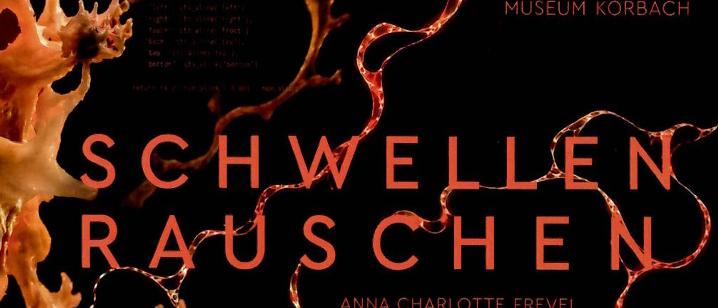 Museum Ausstellung Schwellenrauschen.jpg