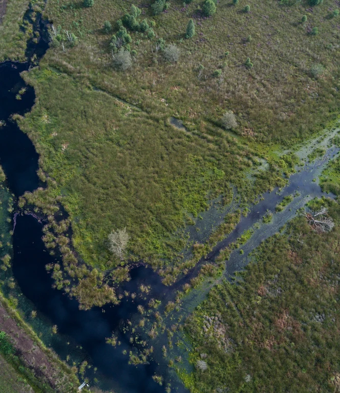 Dalum-Wietmarscher Moor – Luftaufnahme Landschaft 03 ©Naturpark Moor-Veenland, Holger Leue.JPG