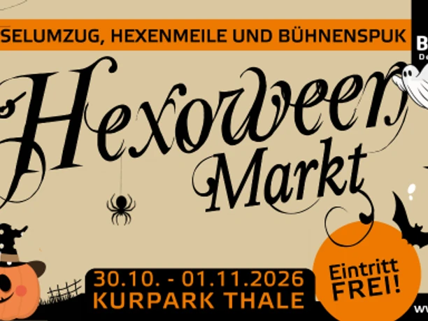 Kein Titel (576 x 288 px) (2).png