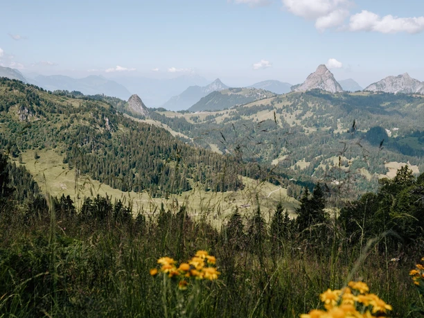 Aussicht Roggenstock