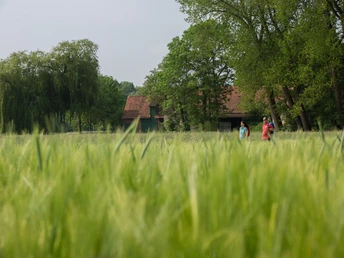 Zwei Menschen spazieren durch ein weites Feld, umgeben von grünen Bäumen und einem roten Ziegeldach-Haus.Two people are walking through a wide field, surrounded by green trees and a red-tiled house.To mennesker går gennem en bred mark, omgivet af grønne træer og et hus med røde teglsten.Twee mensen lopen door een weids veld, omringd door groene bomen en een huis met rode dakpannen.