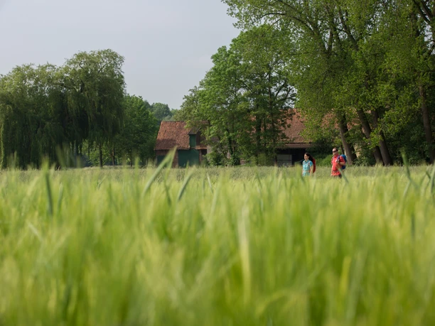 Twee mensen lopen door een weids veld, omringd door groene bomen en een huis met rode dakpannen.
